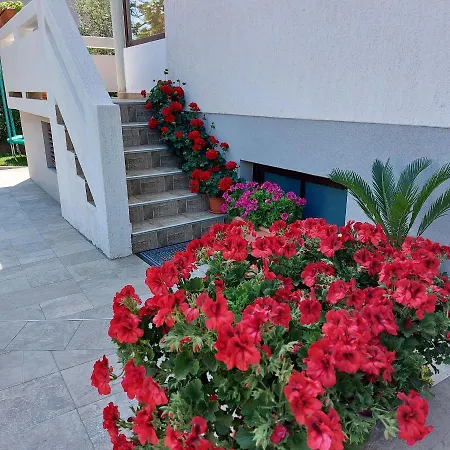 Mohar Iii Baška