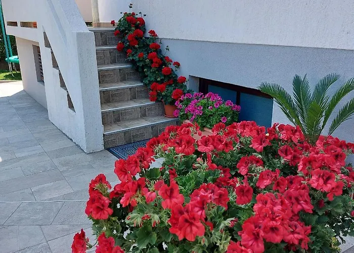 Mohar Iii Baška